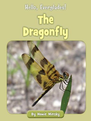 cover image of The Dragonfly